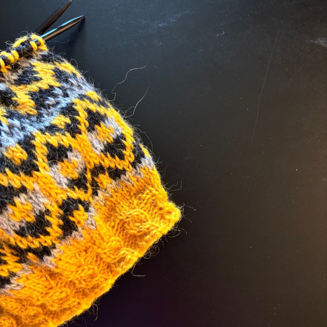 Icelandic Lopi Knitting Workshop on January 24, 2026 at Little Tabby Yarn in Moore, Oklahoma