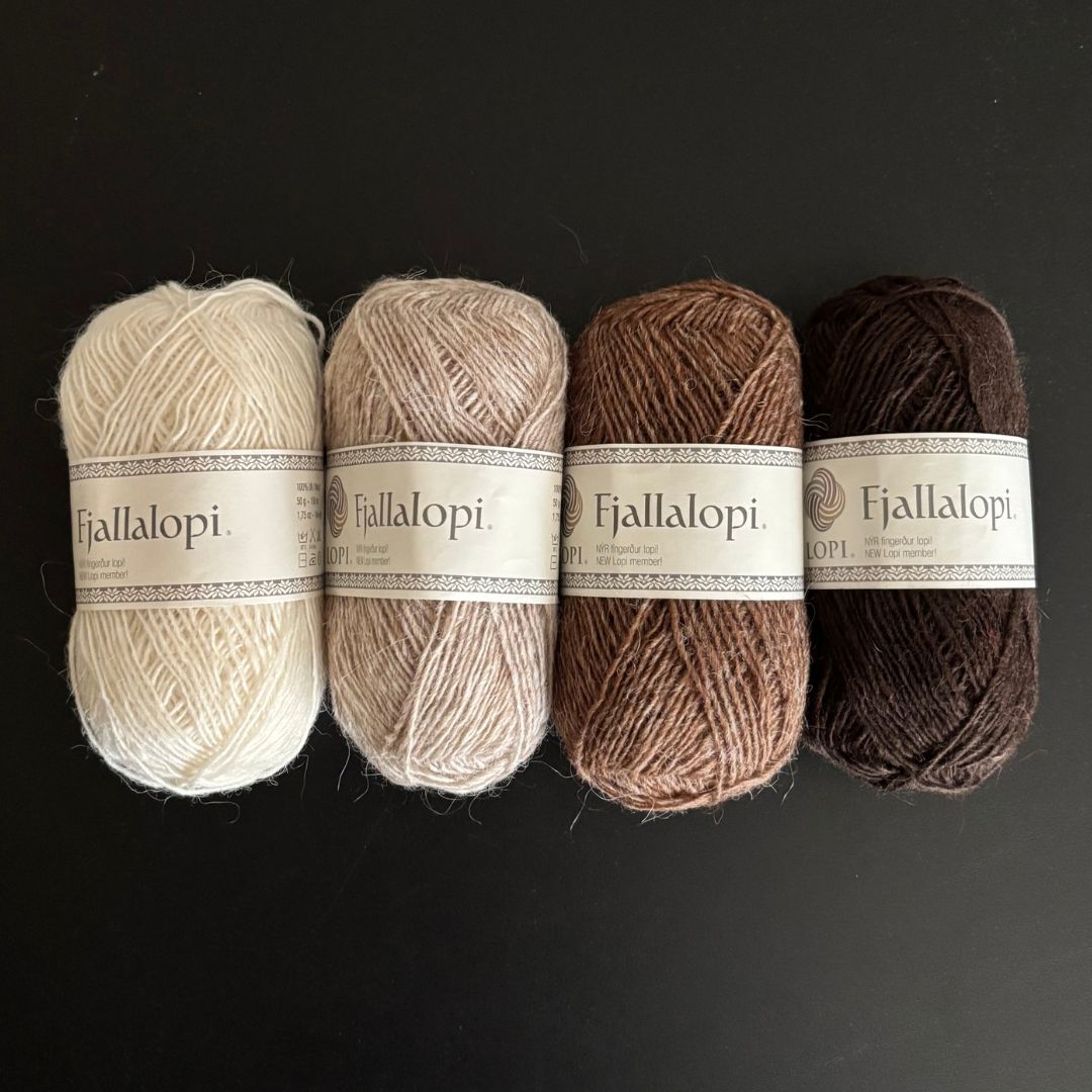 Icelandic Lopi Knitting Workshop on January 24, 2026 at Little Tabby Yarn in Moore, Oklahoma